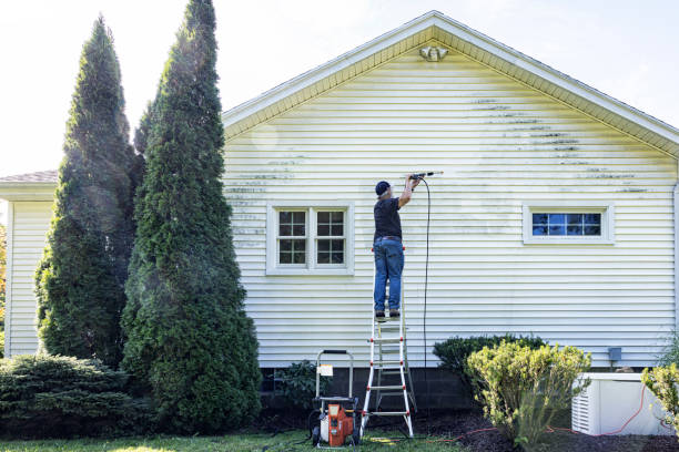 Local Pressure Washing Services in Berrien Springs, MI