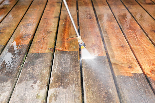Best Exterior Home Cleaning  in Berrien Springs, MI