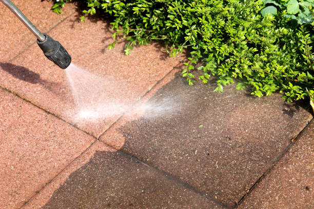 Best Pressure Washing Near Me  in Berrien Springs, MI
