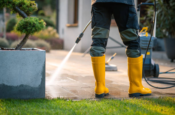 Best Residential Pressure Washing Services  in Berrien Springs, MI